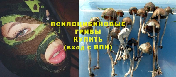 наркотики Ладушкин