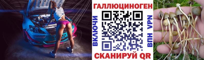 Псилоцибиновые грибы ЛСД  Юрьевец 